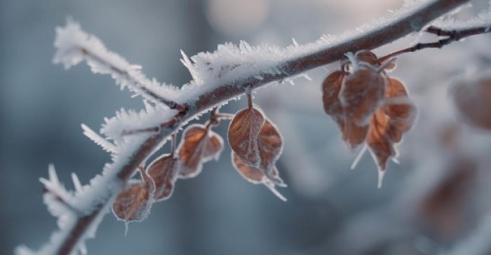 Қазақстанға суық антициклон жақындап келеді