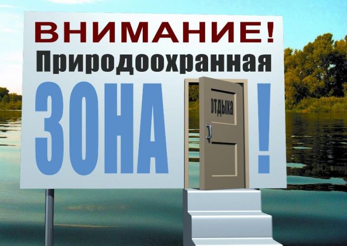 Жағадағы жанжал