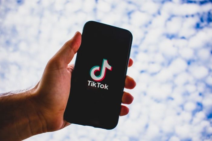 Депутаттар TikTok-ты шектеуді немесе жауып тастауды ұсынды