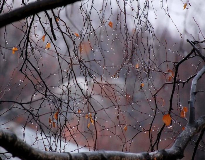 Демалыс күндері жаңбыр, қар жауып, суық болады