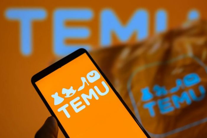 Еуроодақ Temu сауда платформасына қатысты тергеуді бастады