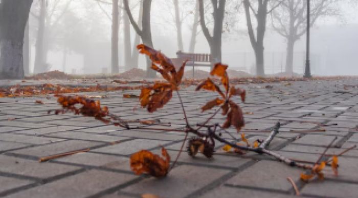 Бүгін елімізде ауа райы қандай болады