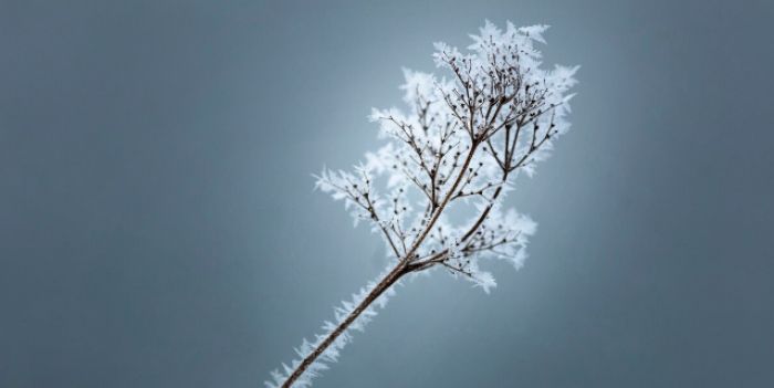 Бүгін еліміздің бірқатар өңірінде тұман мен көктайғақ күтіледі