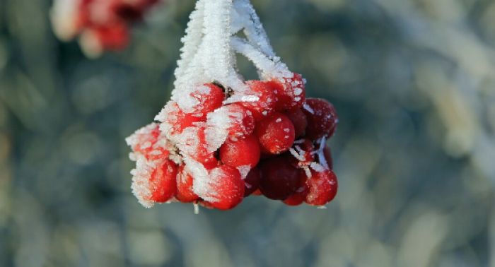 Бүгін елімізде ауа райы қандай болады