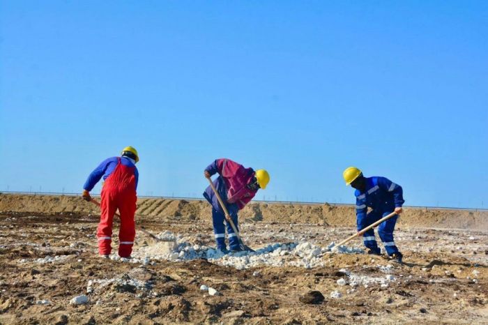 Қаражанбас кен орнында мұнаймен ластанған жерлерді қалпына келтіру жұмыстары аяқталды