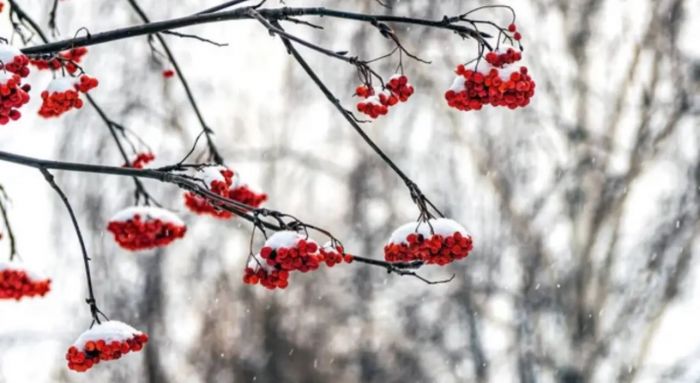 Бүгін елімізде ауа райы қандай болады