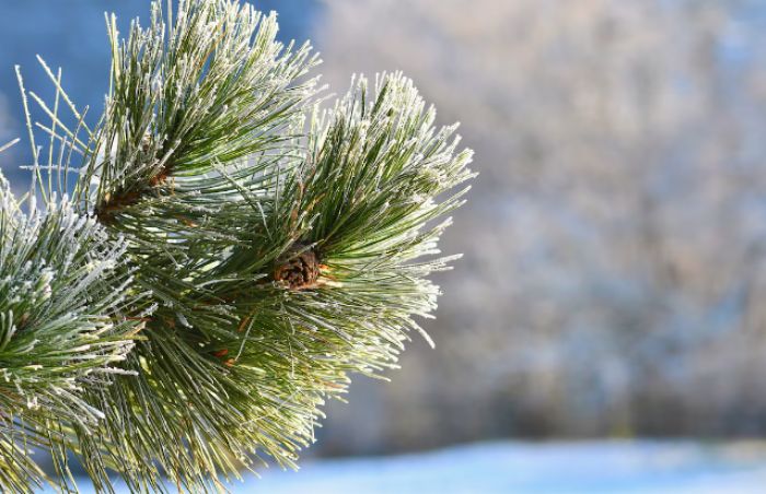 Бүгін елімізде ауа райы қандай болады