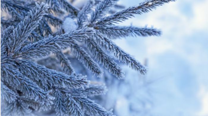 Қазгидромет бірнеше өңірде дауылды ескерту жариялады