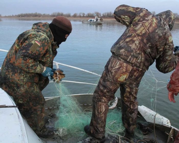 Атырау облысында өткен жылы балық шаруашылығы заңнамасын бұзған 2 200-ден астам дерек анықталды