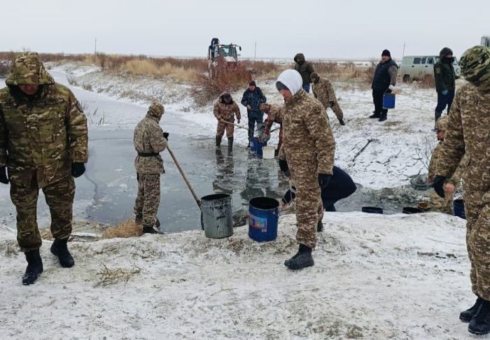 Бақсай каналынан 1,8 млн шабақ құтқарылды