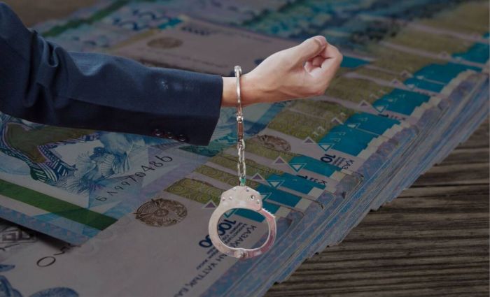 Алматы облысында тұрғынның 69 млн теңгесін алаяқтықпен иемденген күдікті ұсталды  