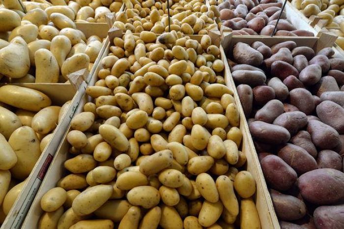 Атырау облысында тұрақтандыру қорындағы картоп 44 сауда нүктесінде арзан бағада сатылып жатыр