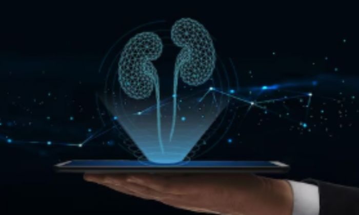 Бүйрегін сатпақ болған Атырау тұрғыны жазасын бостандықта өтейді