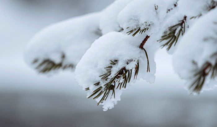 Қар жауып, 28 градус аяз болады: 22 қаңтарға арналған ауа райы болжамы