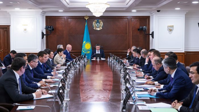 Олжас Бектенов: Үкімет президент тапсырмаларының уақтылы іске асырылуын қамтамасыз етеді