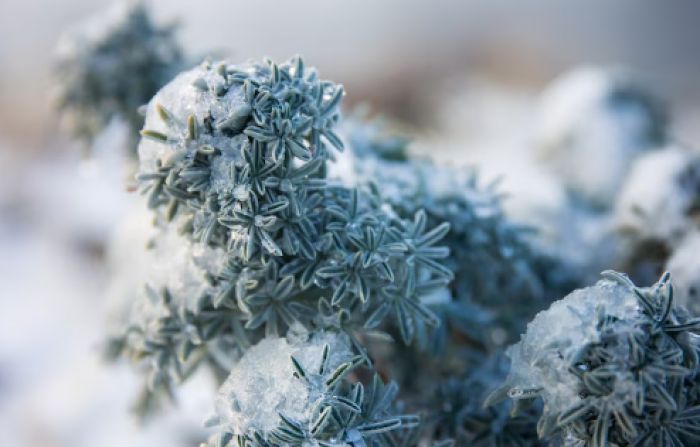 Қаңтар айының соңғы күнінде ауа райы қандай болады