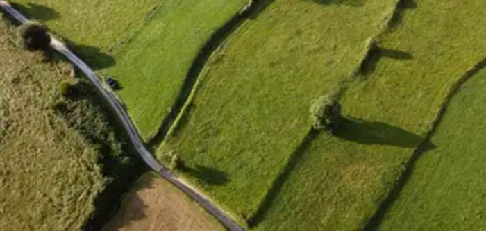 Жер пайдалану құқығы өсиет бойынша мұраға қалдырылады