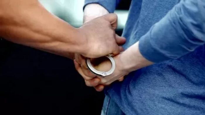 Қырғызстаннан қаржы пирамидасының жетекшісі экстрадицияланды