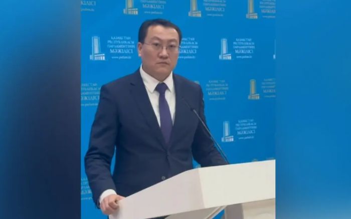Трамптың саясаты Қазақстан экономикасына қалай әсер етеді - вице-министр жауап берді