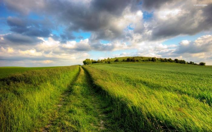 Мемлекет Болат Назарбаевтың бұрынғы жерлерін сата алмай жатыр