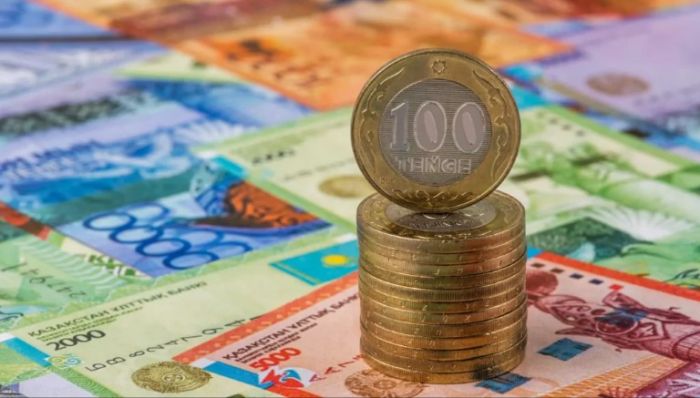 Елімізде еден жуушы, электрик, аула сыпырушының жалақысын көтеру ұсынылды