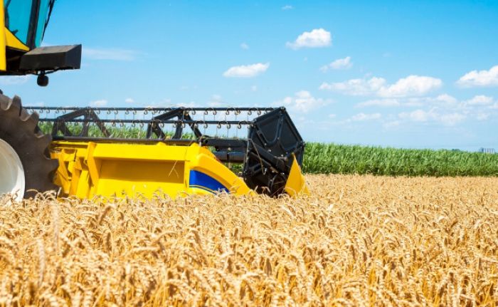 Қазақстан 2025 жылы Грузияға 80 мың тонна бидай экспорттайды