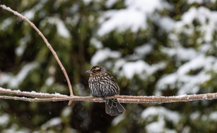 Қазақстандықтарды 7 ақпан күні қандай ауа райы күтеді