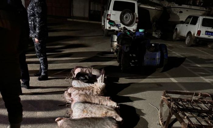 Екі пышақ, екі рация және жүздеген келі балық