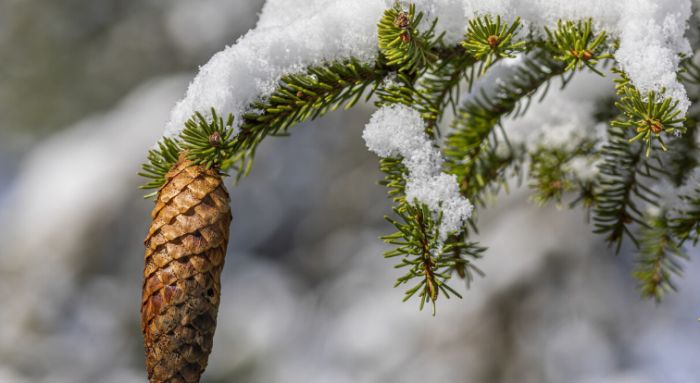 Дүйсенбіге арналған ауа райы болжамы жарияланды