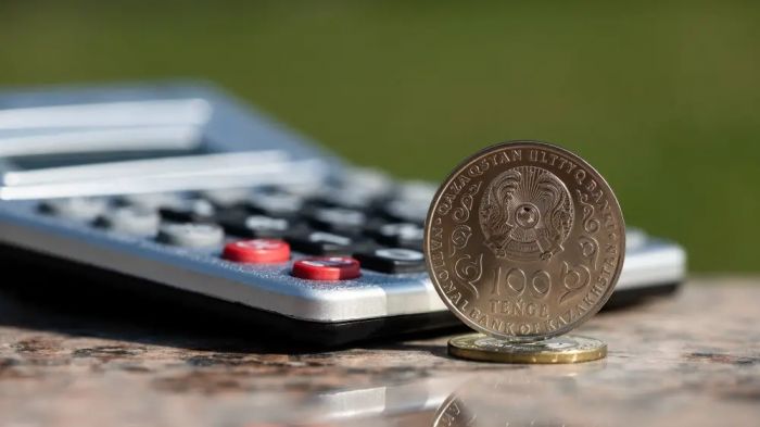 Жаңа Салық кодексі қашан Парламент қарауына енгізіледі?