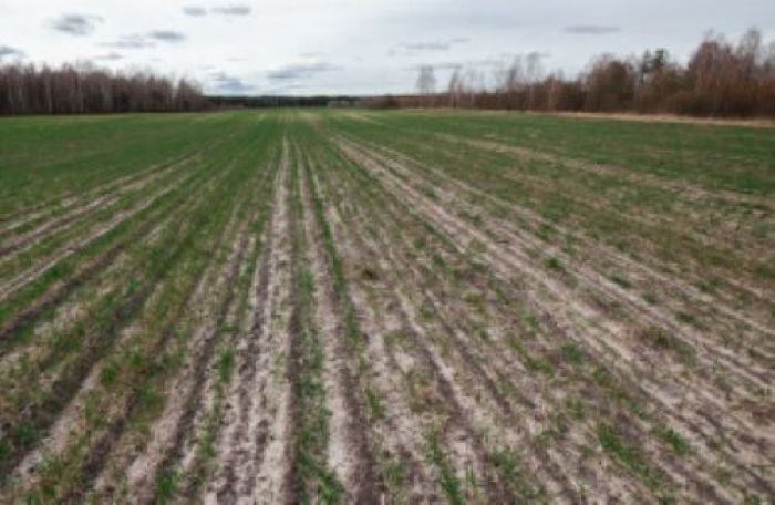 Ауыл шаруашылығы өнімін егу алаңы 518 мың гектарға көбейтіледі