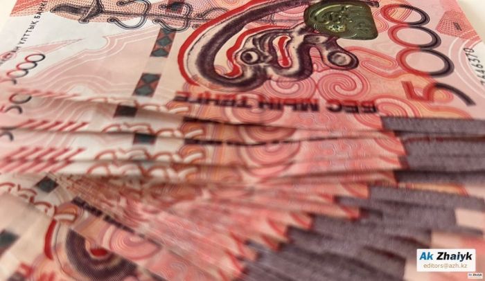 ІІМ: Елордада полиция тауарлық-материалдық құндылықтарды ұрлау схемасының жолын кесті  