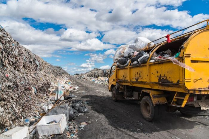 Алматыда қоқыс жәшігінен әйелдің бөлшектелген денесі табылды