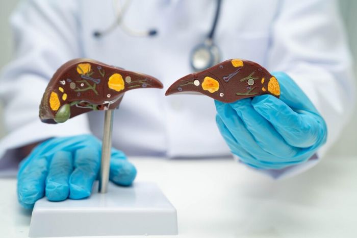 В және С вирустық гепатиттерін анықтауға арналған скрининг енгізілуде