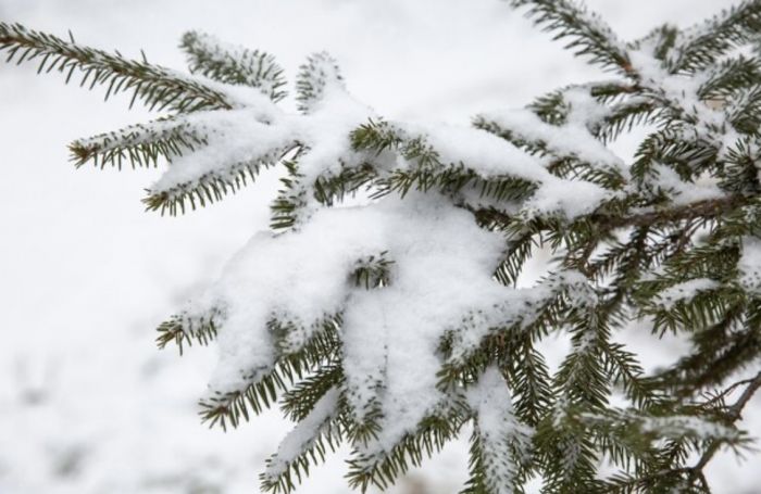 Қазақстанда алдағы күндері ауа райы қандай болады?