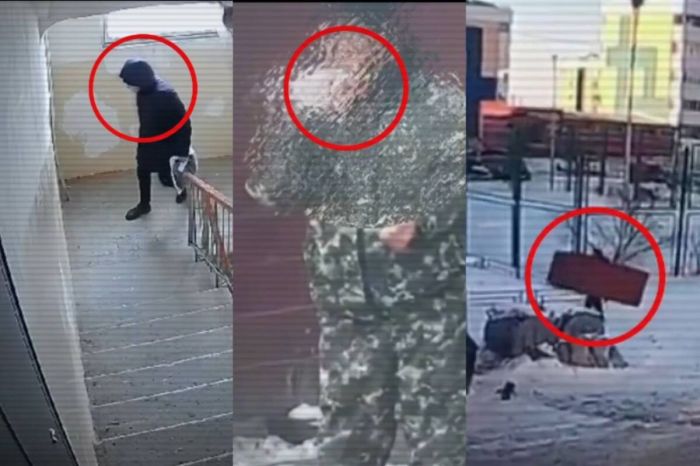 ІІМ қоршаған ортаны ластап, бейнекамераға түсіп қалған құқық бұзушыларды көрсетті 