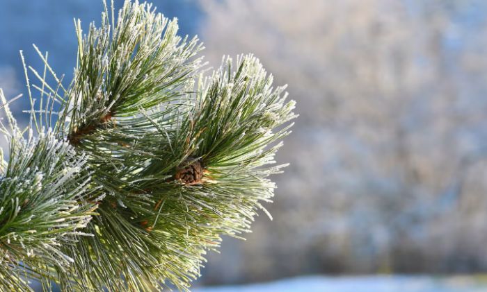 Қазақстанда 19 ақпан күні ауа райы қандай болады