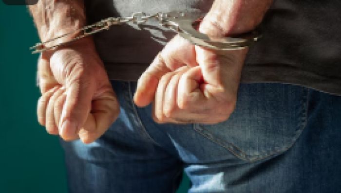 Ұйымдасқан қылмыстық топтың мүшесі Ресейден экстрадицияланды