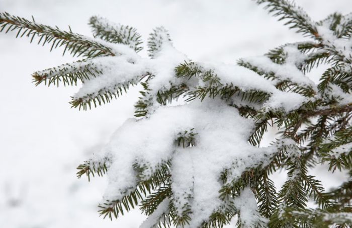 Қазақстанда 20 ақпан күні ауа райы қандай болады