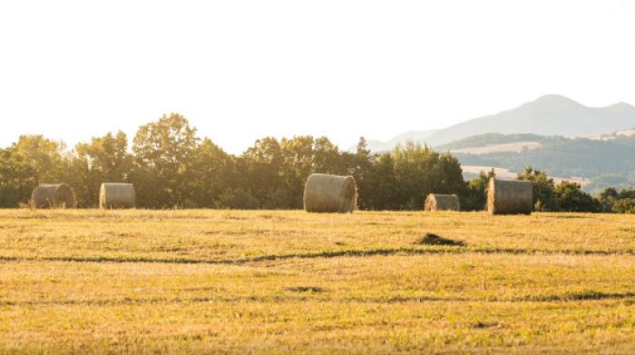 Сыбайлас жемқорлыққа қарсы қызмет Қостанай облысындағы жер қатынастары саласындағы бірқатар заң бұзушылықтарды анықтады