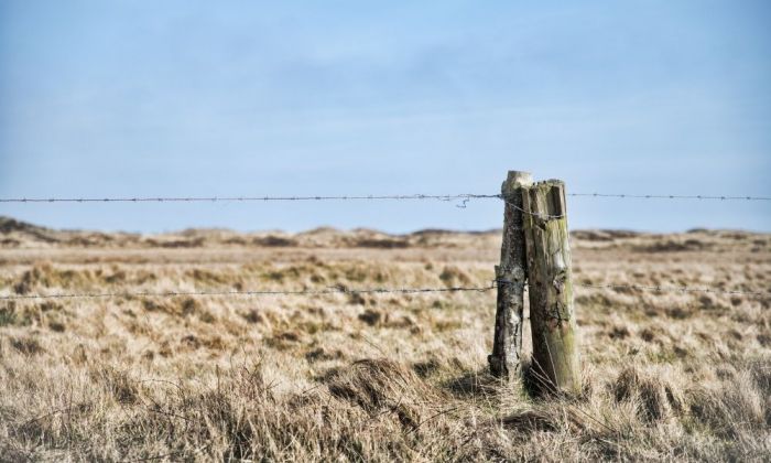 Қару, есірткі, браконьерлік: Қазақстан бойынша ақпандағы шекара қызметінің нәтижесі