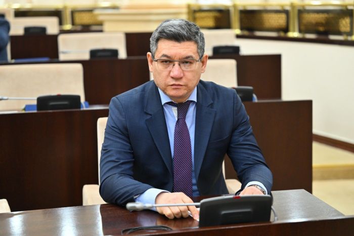 ​Амангелді Исенов Жоғары аудиторлық палата мүшесі болып тағайындалды