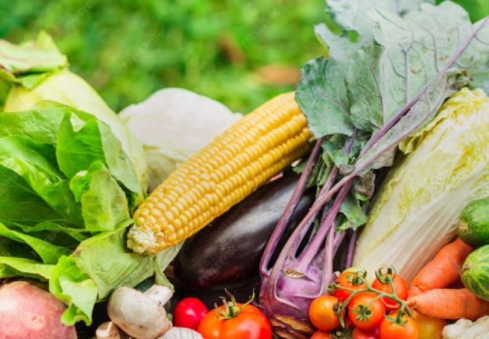  Алаяқтық туралы іс бойынша