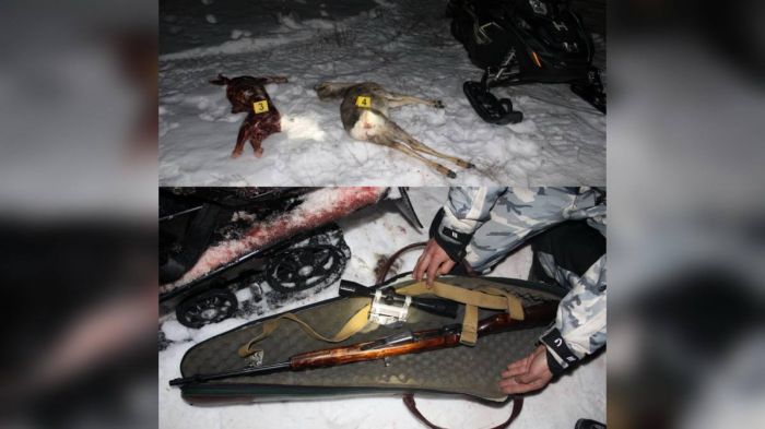 Ақтөбеде заңсыз аңшылықпен айналысқан ауыл тұрғындары тұтқындалды  