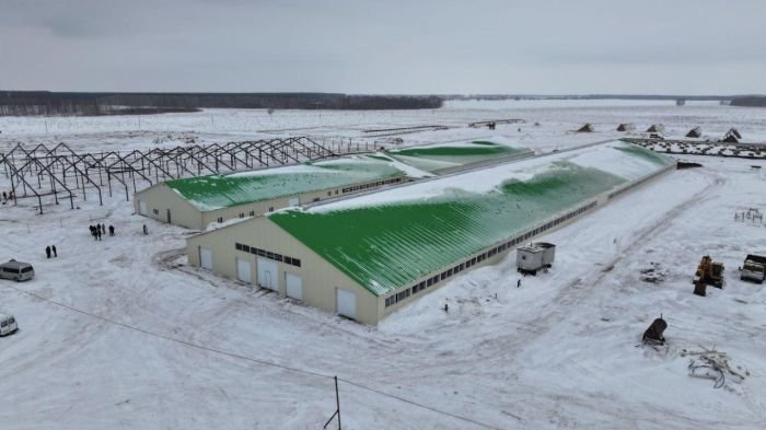 Қостанайда сүт-тауар фермасы іске қосылды
