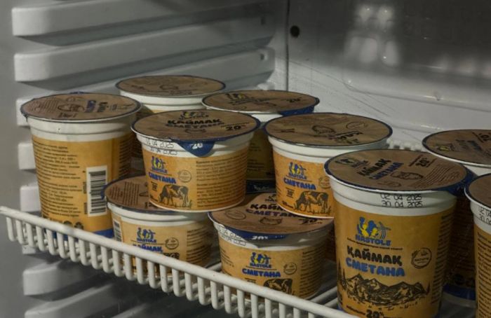 ШҚО-да тәулігіне 30 тонна өнім өндіретін сүт өңдеу зауыты іске қосылды