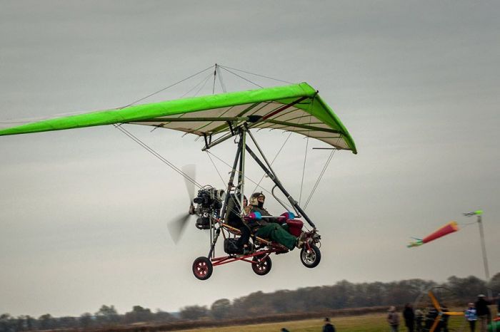 Атырау облысында шегірткеге қарсы күреске дайындық басталды