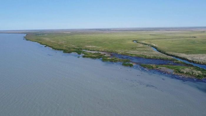 ​Балқашты сақтап қалу: Қазақстан мен Франция экожүйені сақтау бойынша мастер-жоспар әзірлейді​​
