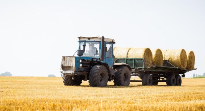 Жетісу облысында ауыл шаруашылығы техникасын басқаруға заңсыз куәлік беру фактілері анықталды