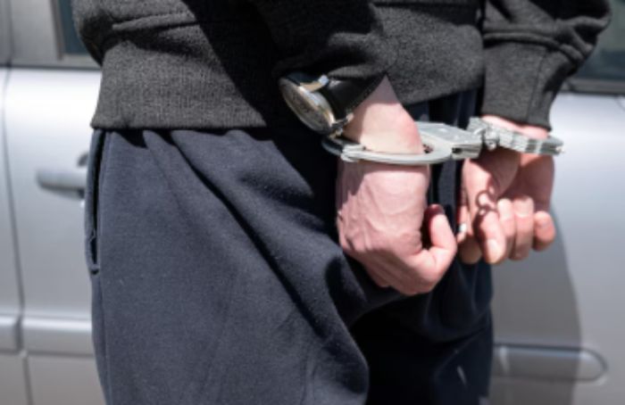 Жыл басынан бері ІІМ 264 шетелдік қылмыскерді ұстады